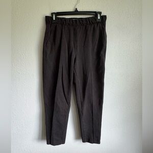 Everlane Black Dream Pant Ponte Skinny Leg Womens S Pleated Office Career